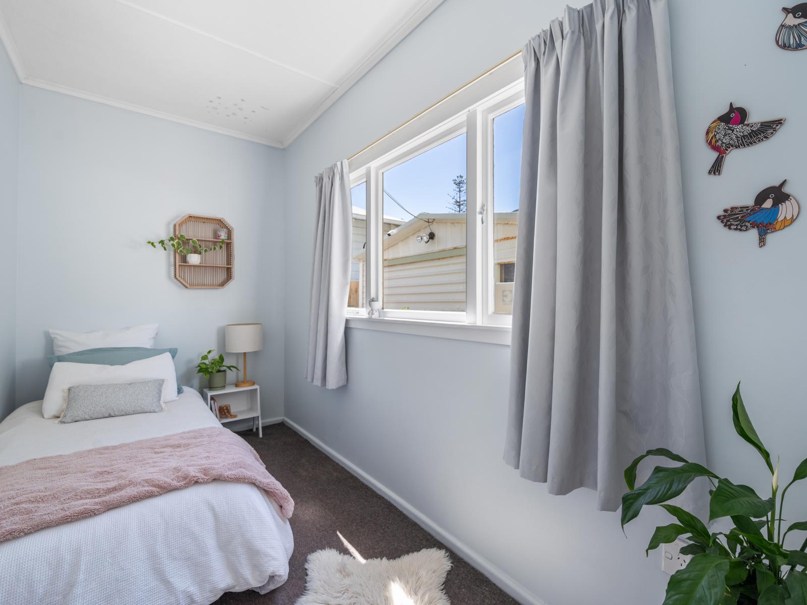 60 McGrath Street, Napier South