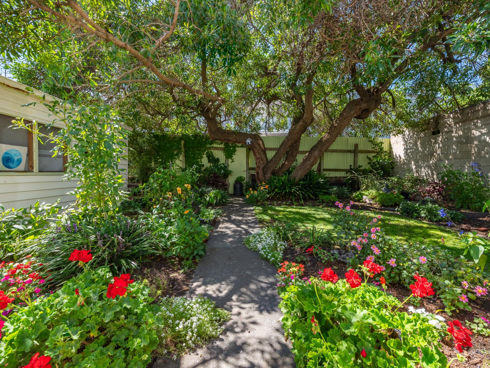 60 McGrath Street, Napier South