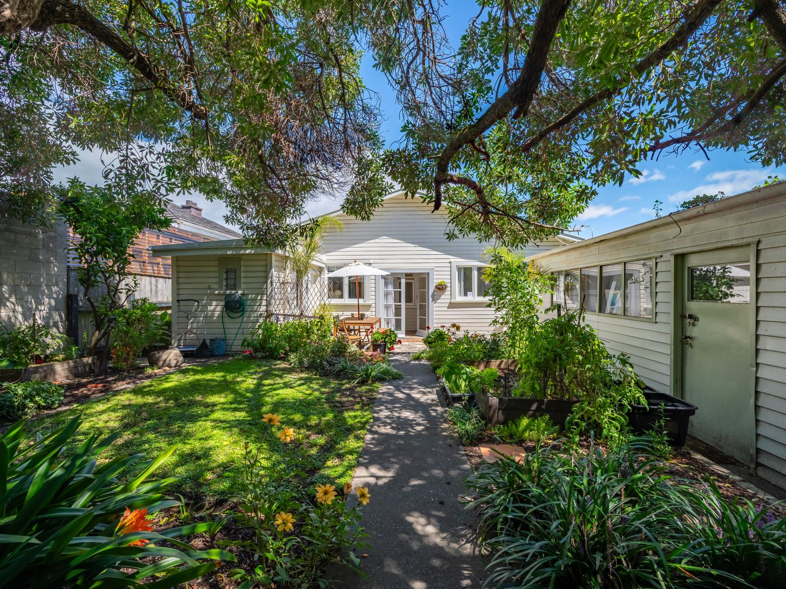 60 McGrath Street, Napier South