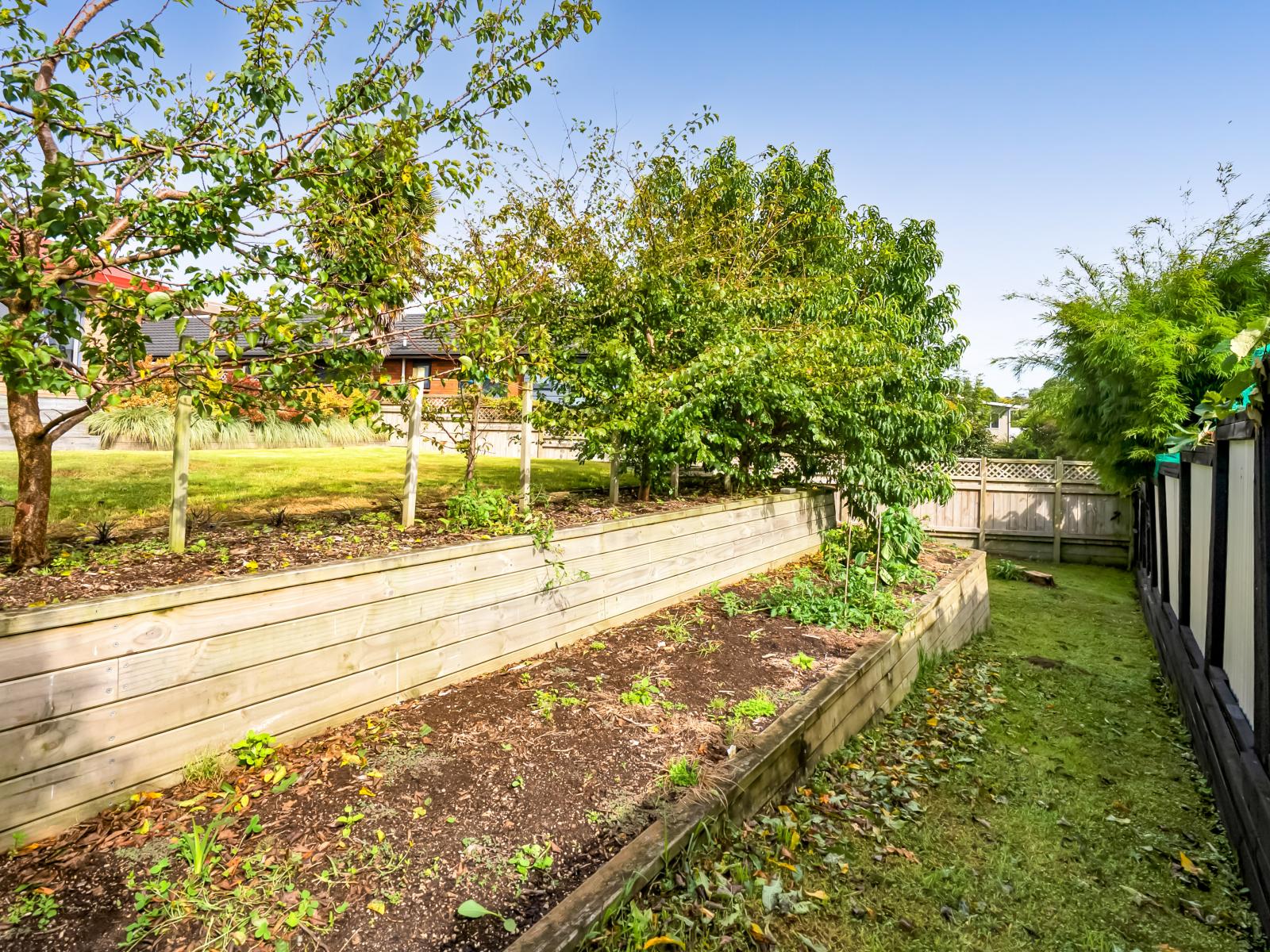 19 Ashmore Drive, Frankleigh Park
