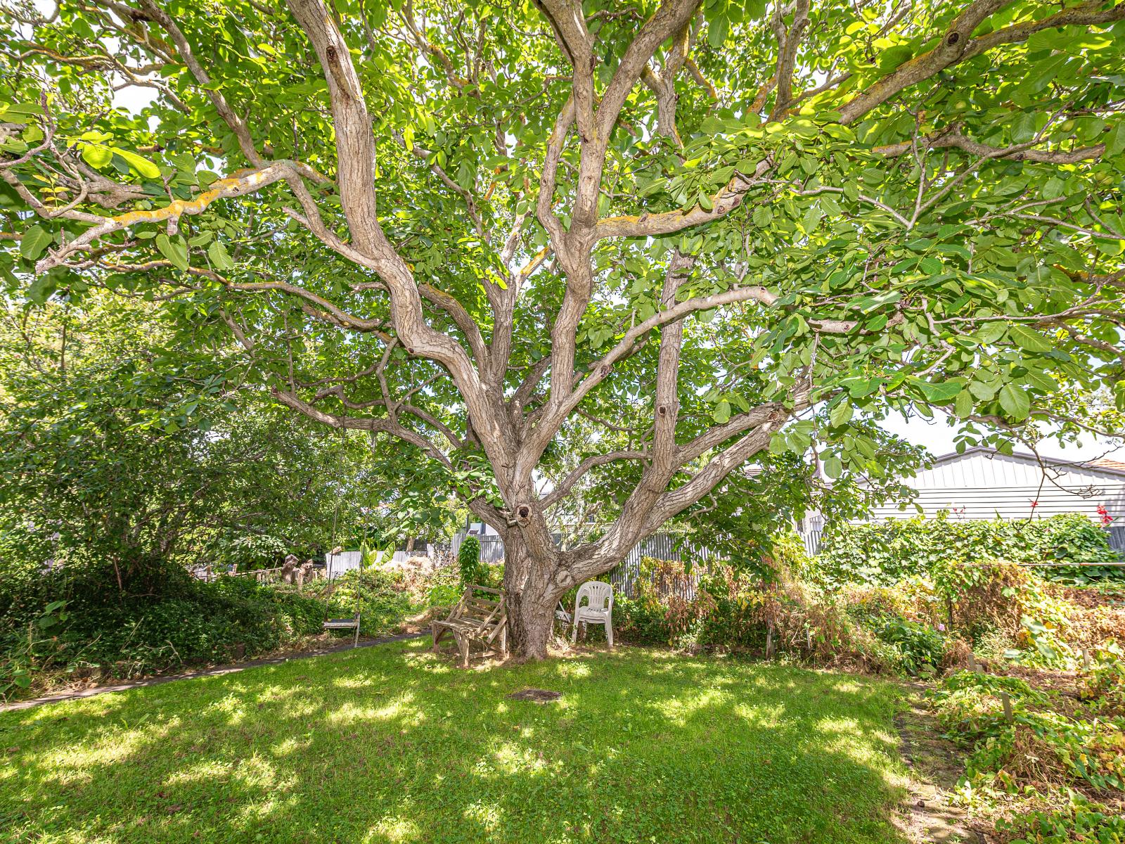 11 Field Street, Aramoho