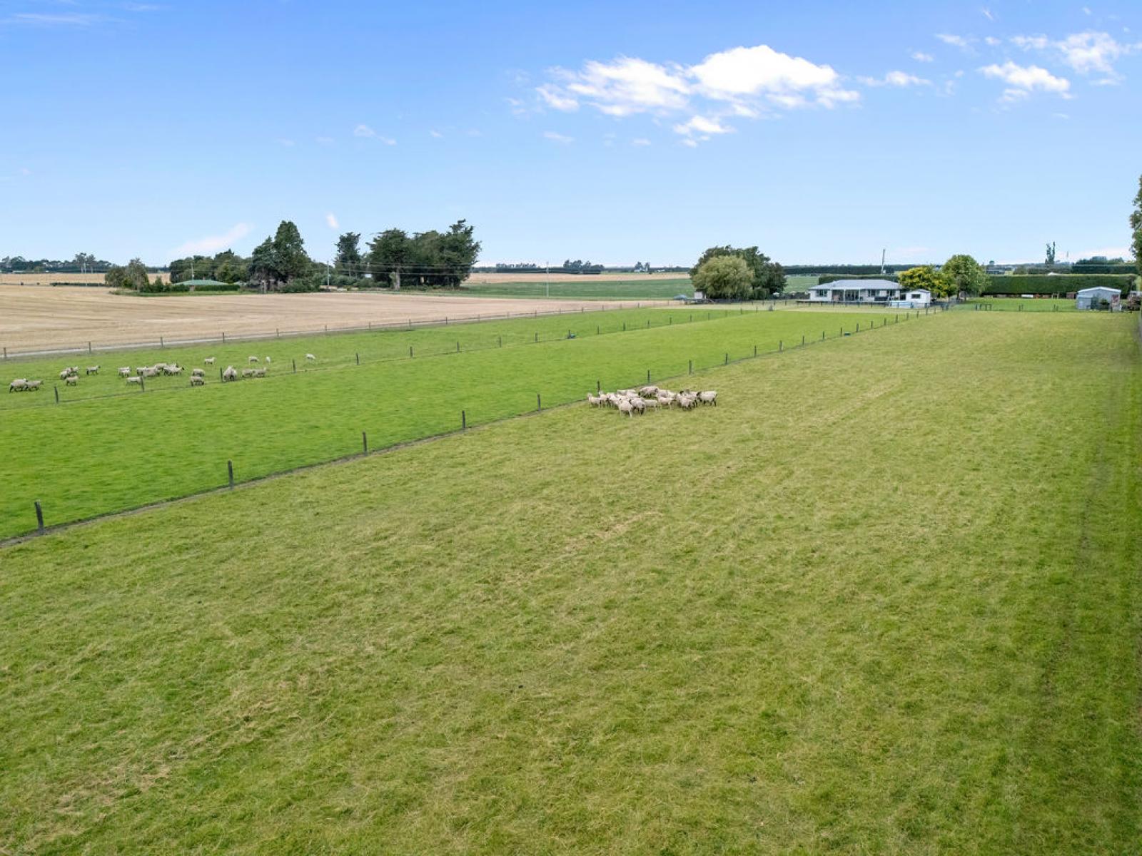 206 Cochranes Road, Ashburton