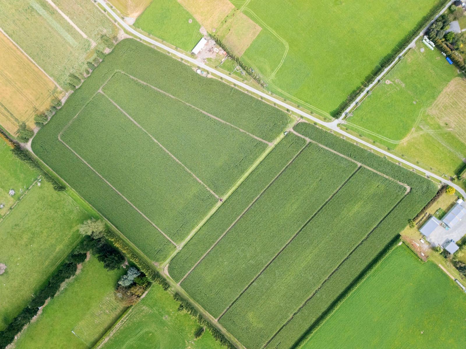 349 Wakanui Road, Ashburton