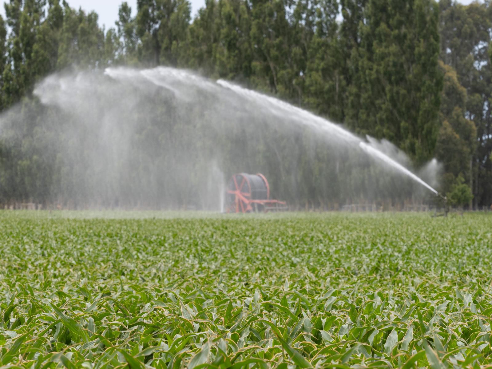 349 Wakanui Road, Ashburton