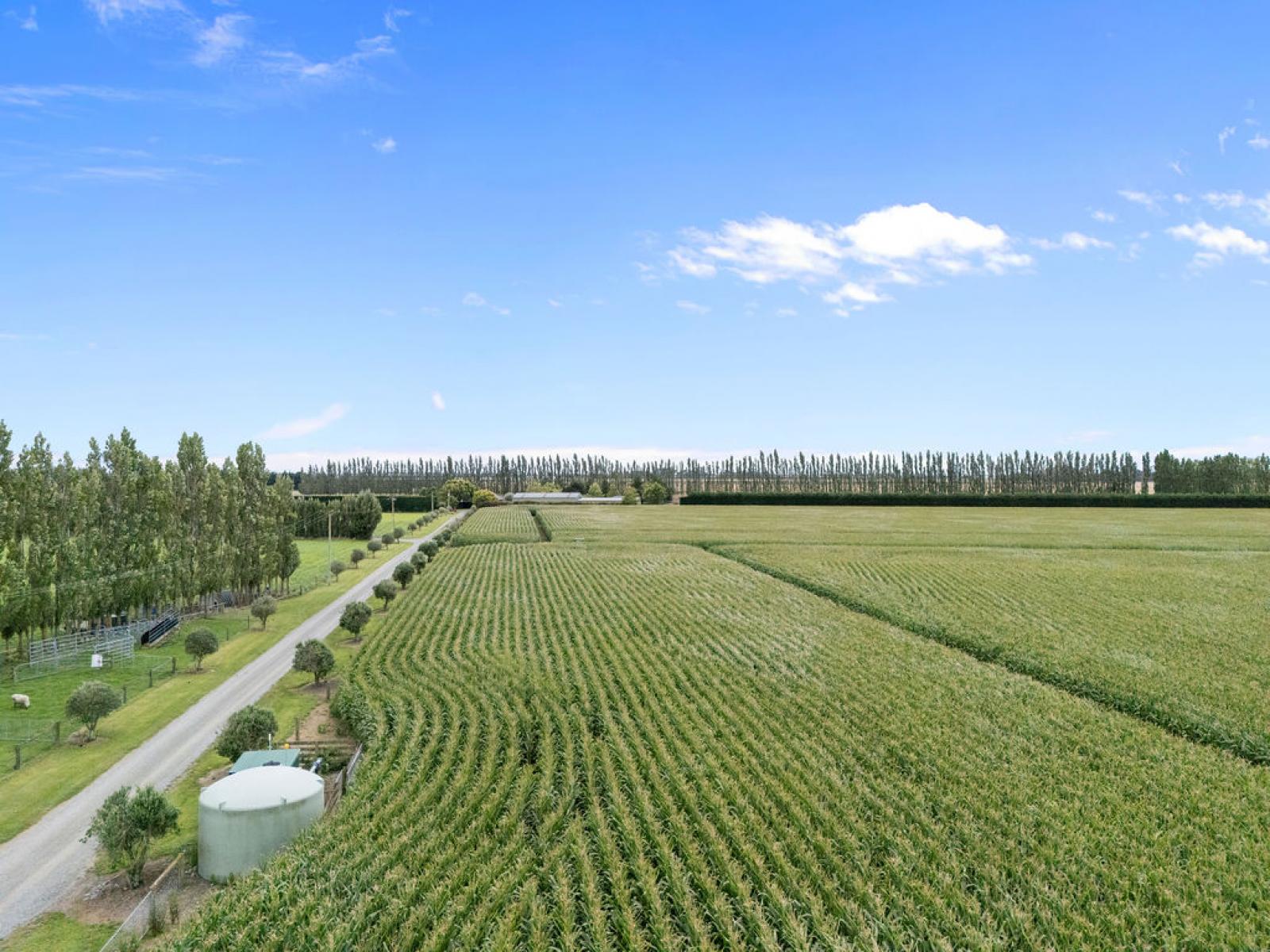 349 Wakanui Road, Ashburton