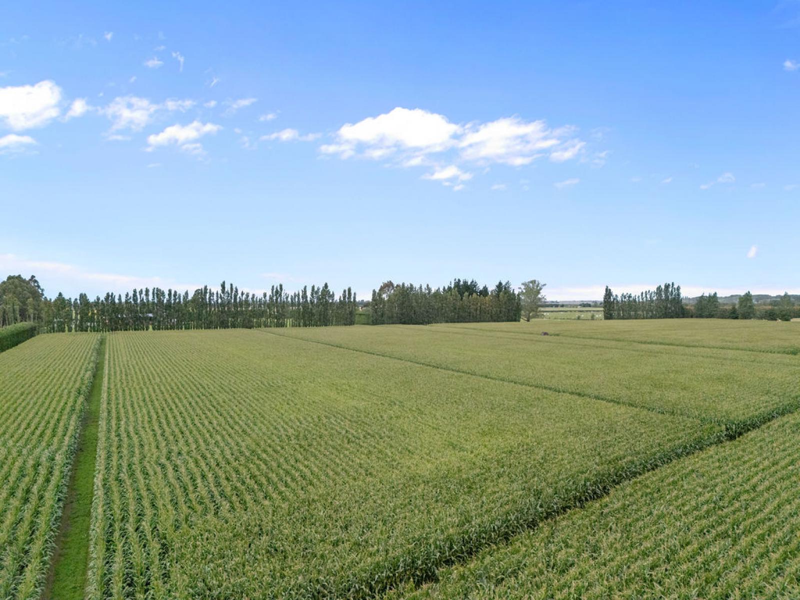 349 Wakanui Road, Ashburton