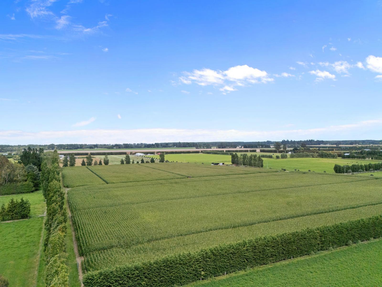 349 Wakanui Road, Ashburton