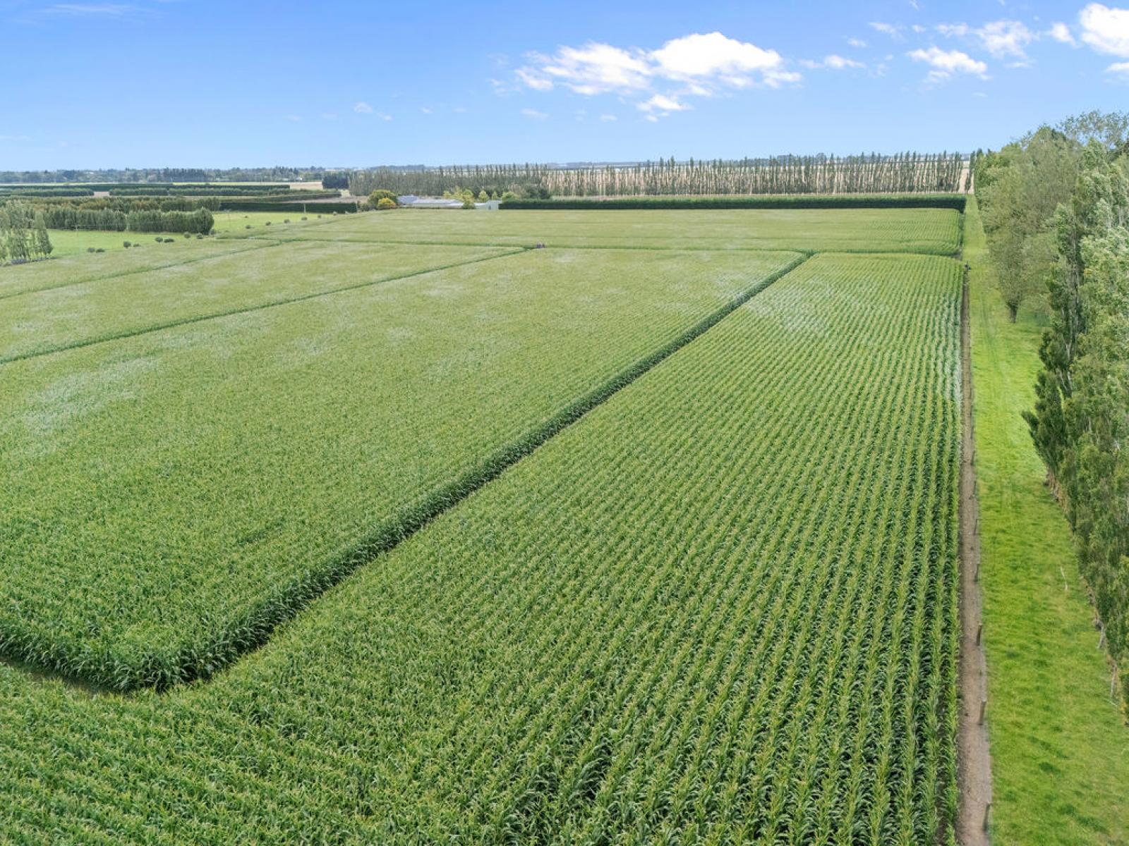 349 Wakanui Road, Ashburton