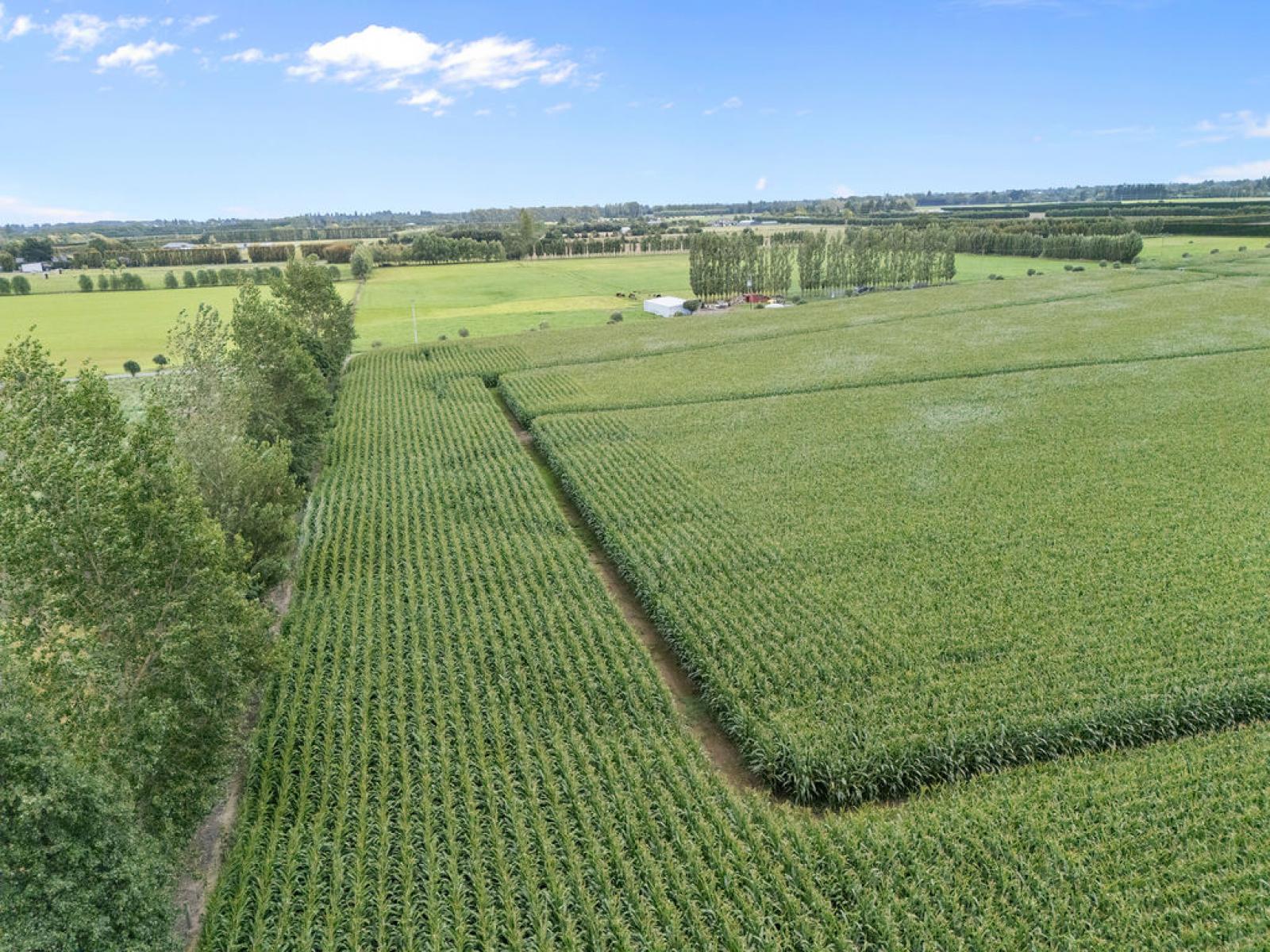 349 Wakanui Road, Ashburton