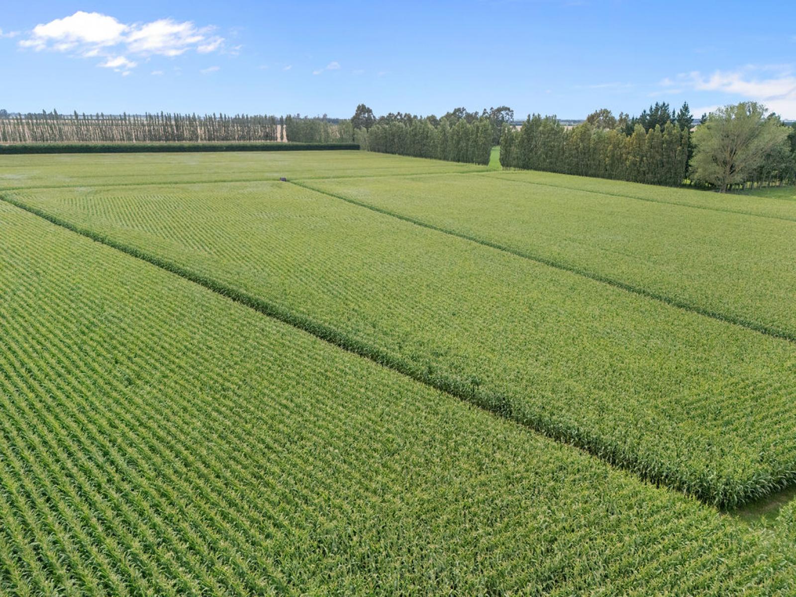 349 Wakanui Road, Ashburton