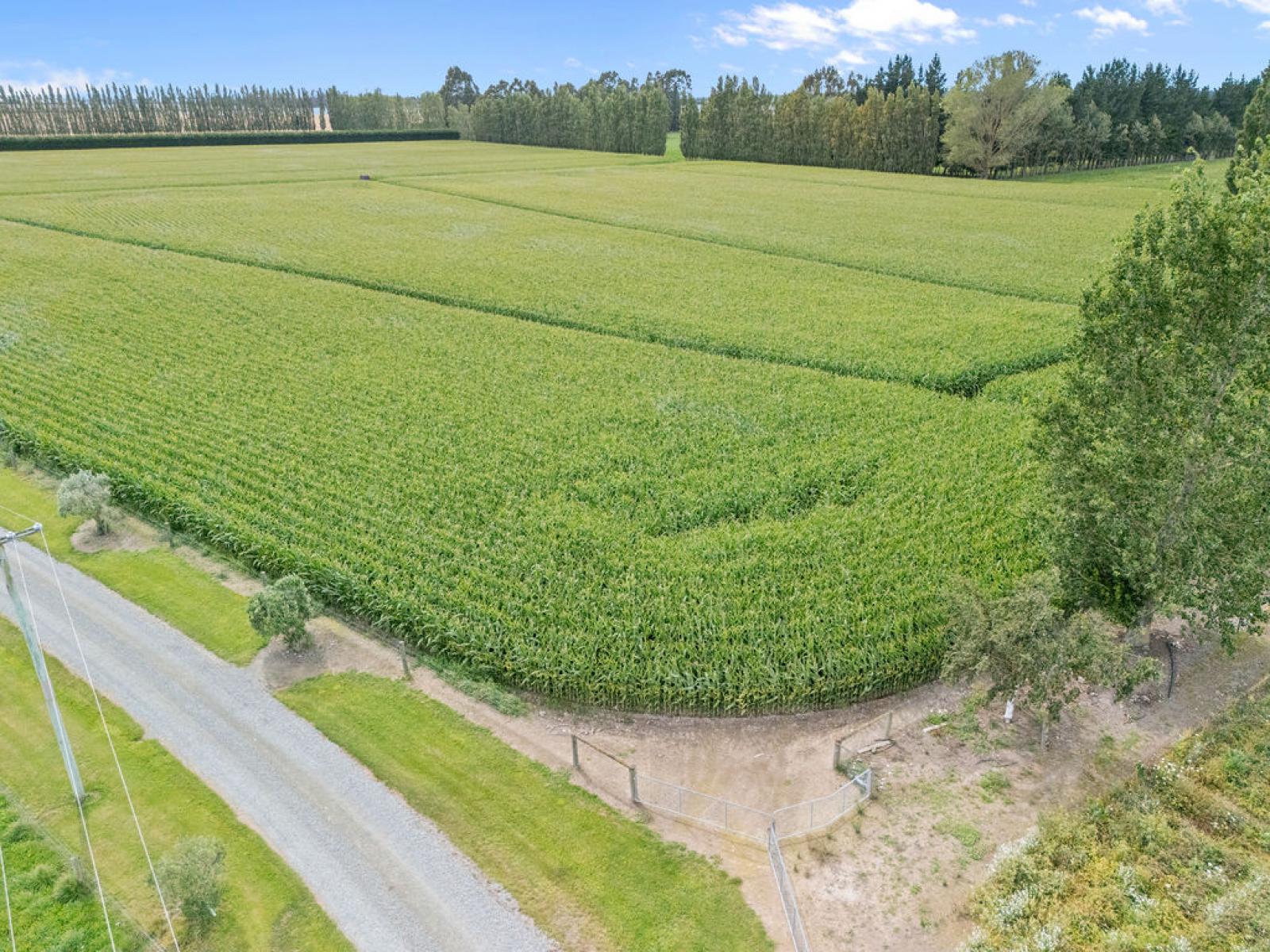 349 Wakanui Road, Ashburton