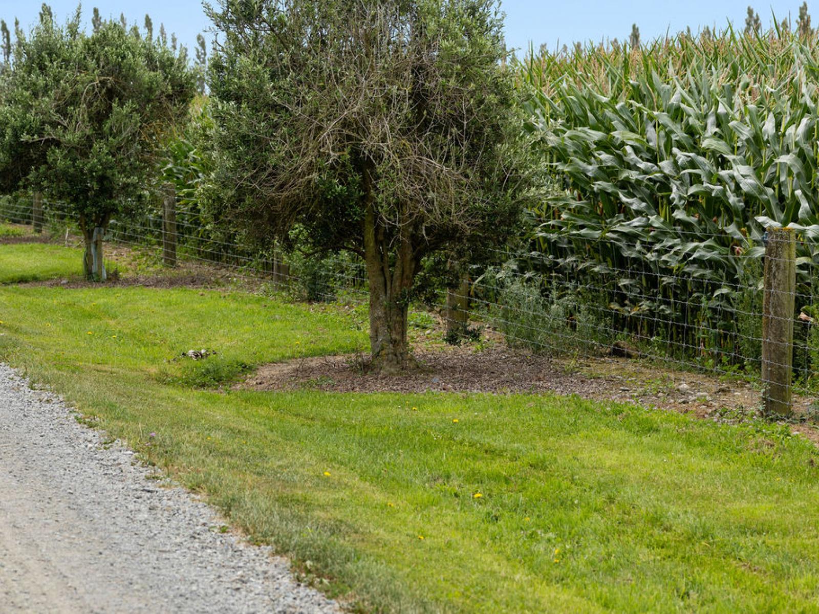 349 Wakanui Road, Ashburton