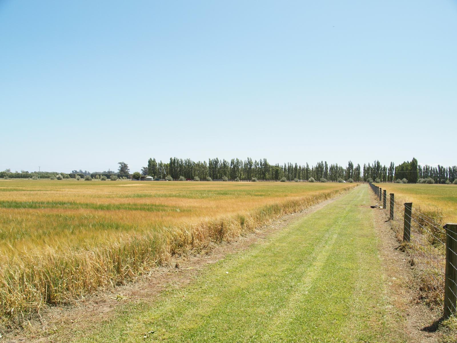 349 Wakanui Road, Ashburton