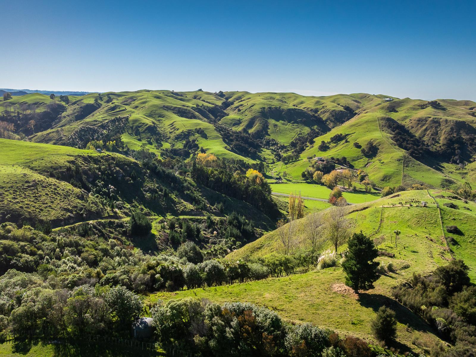 863 Puketitiri Road, Puketapu
