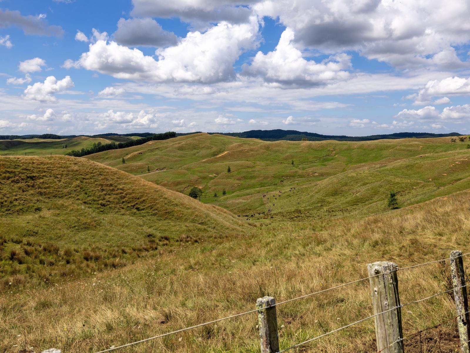826 Ruakiwi Road, Te Akau