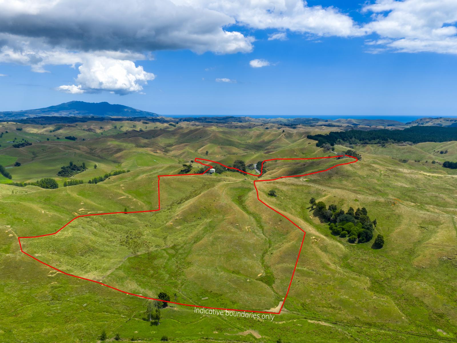 826 Ruakiwi Road, Te Akau