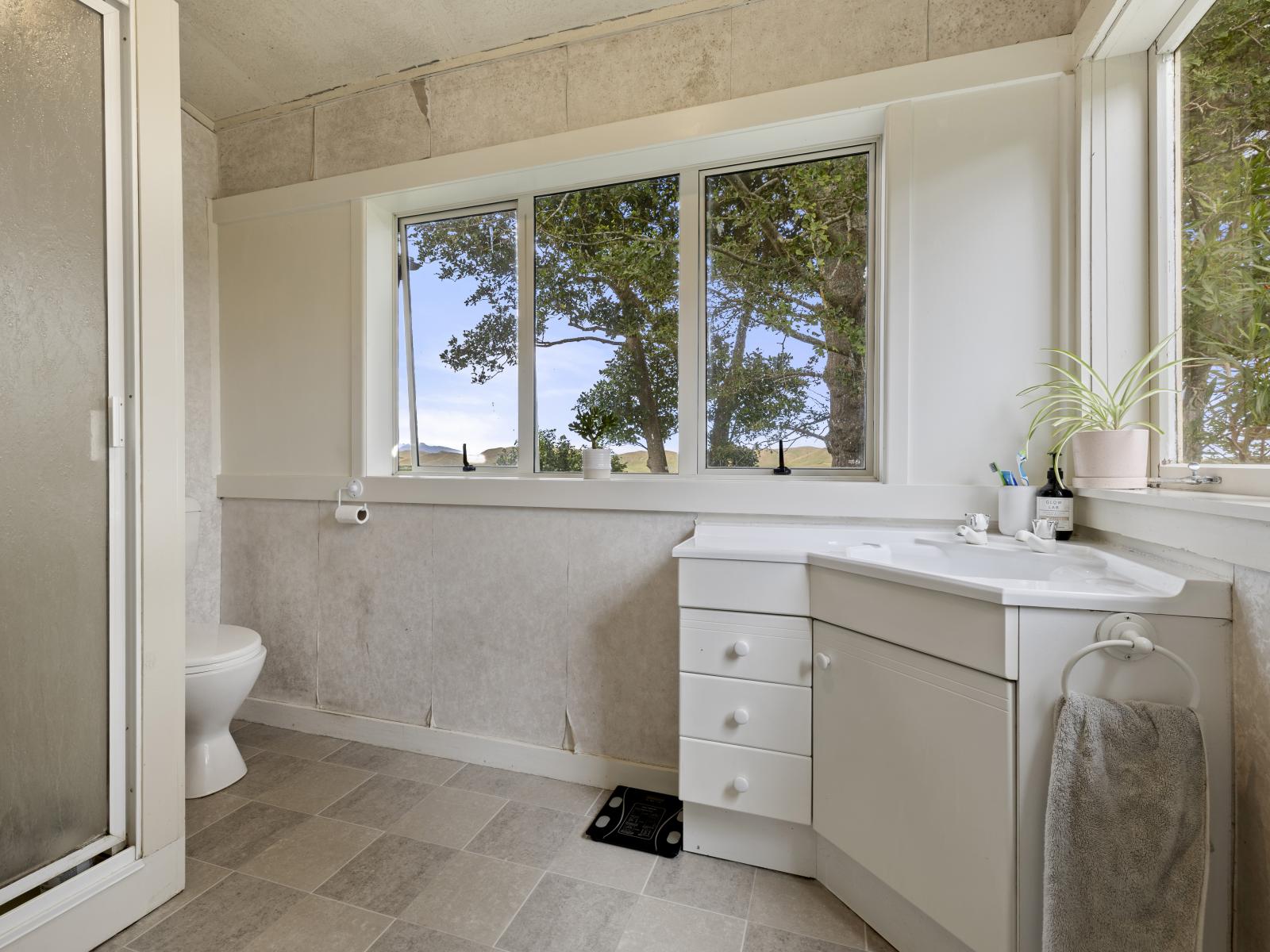 826 Ruakiwi Road, Te Akau