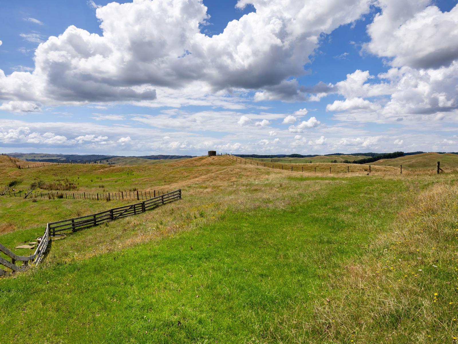 826 Ruakiwi Road, Te Akau