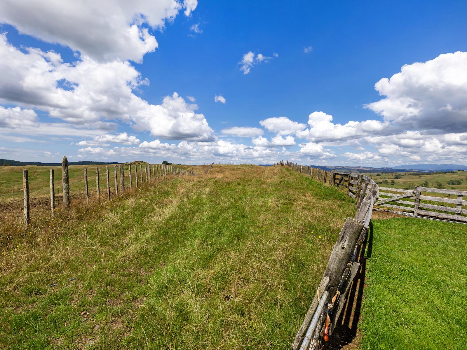 826 Ruakiwi Road, Te Akau