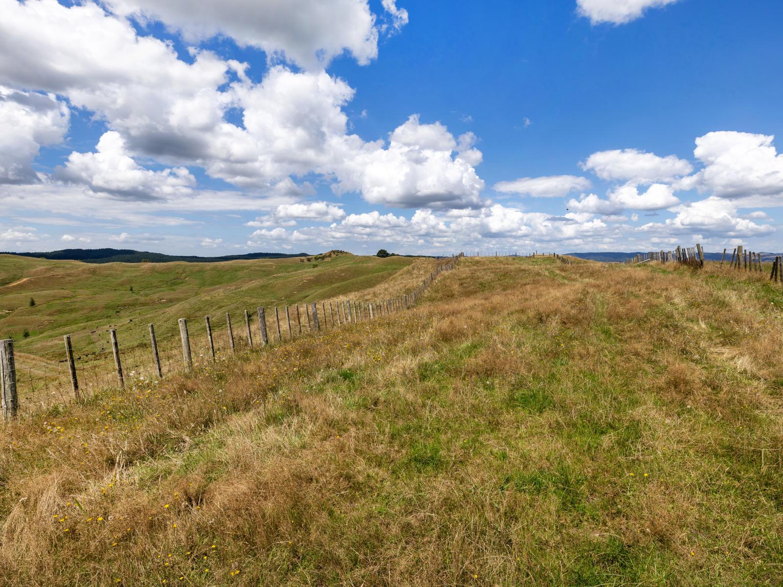 826 Ruakiwi Road, Te Akau