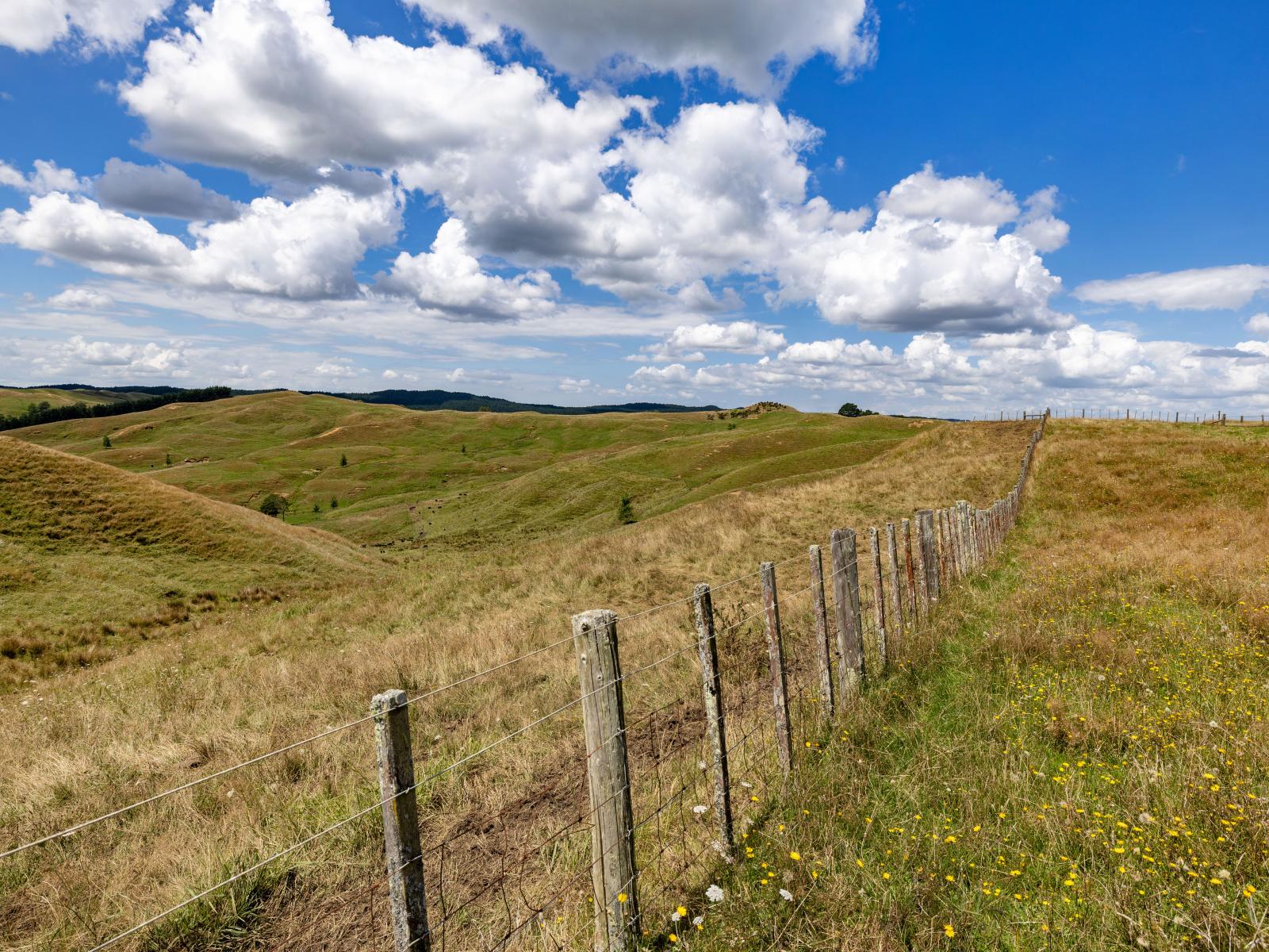 826 Ruakiwi Road, Te Akau