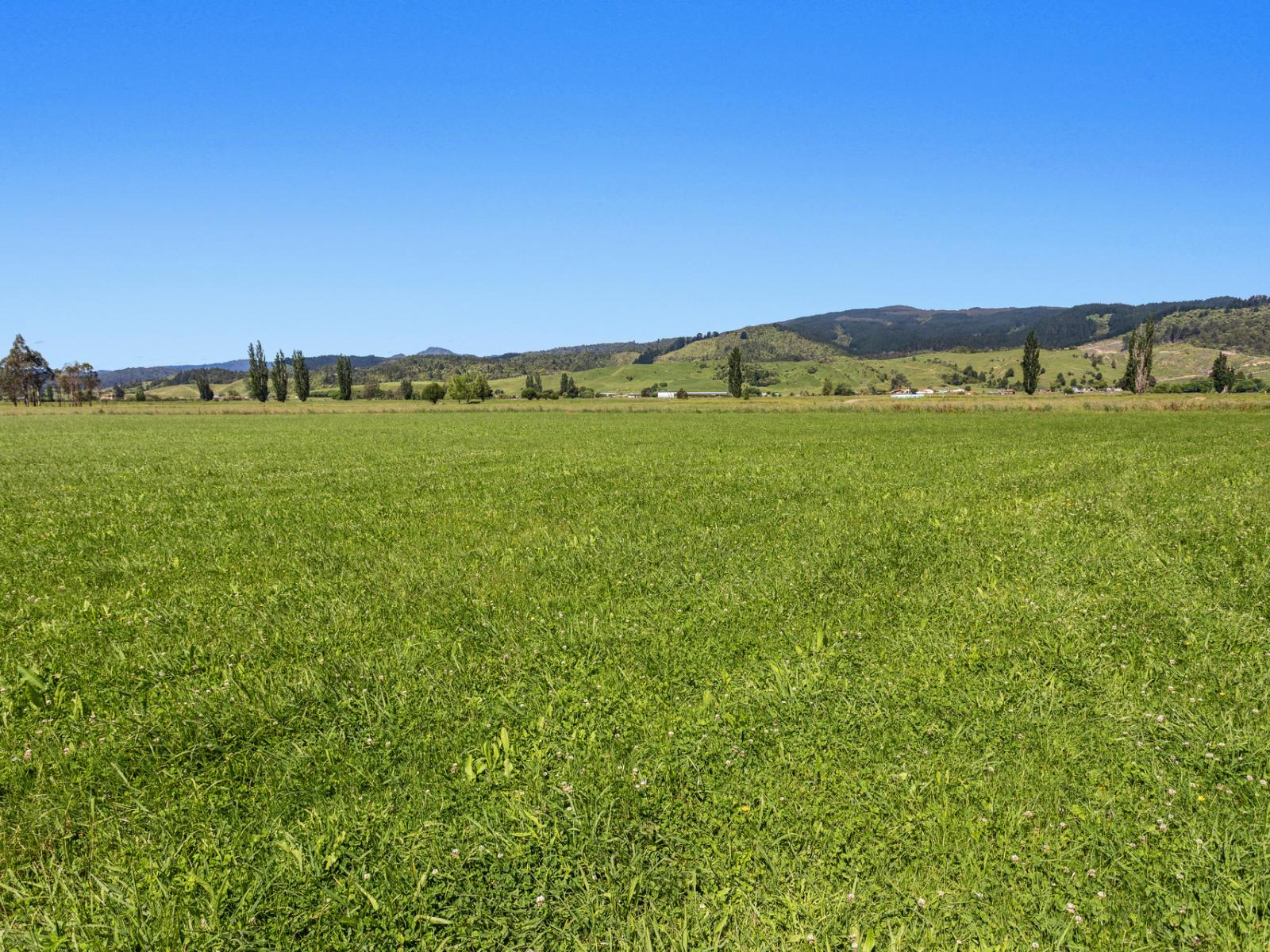 116A Matahi Valley Road, Waimana