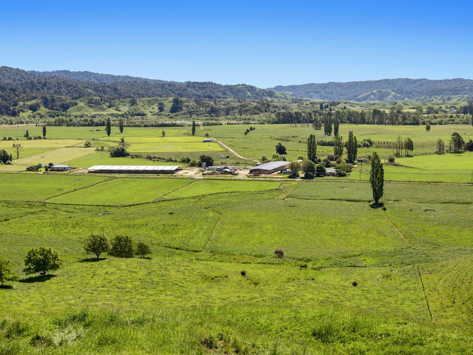 116A Matahi Valley Road, Waimana