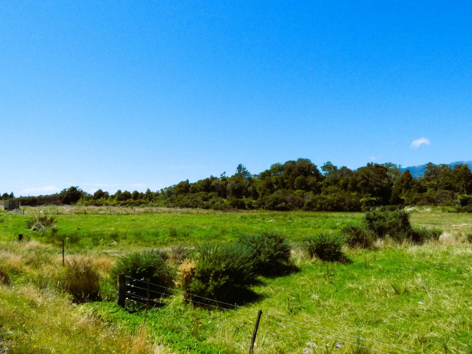 9 Croninville Terrace, Charleston