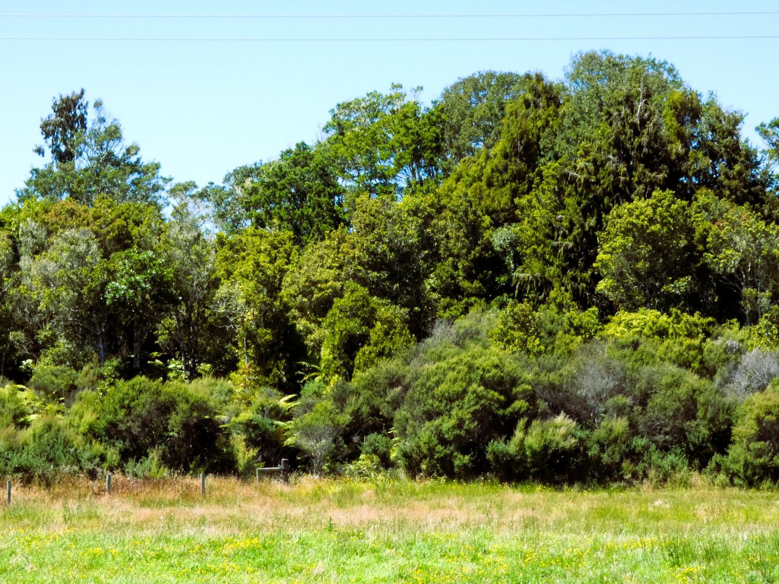 9 Croninville Terrace, Charleston