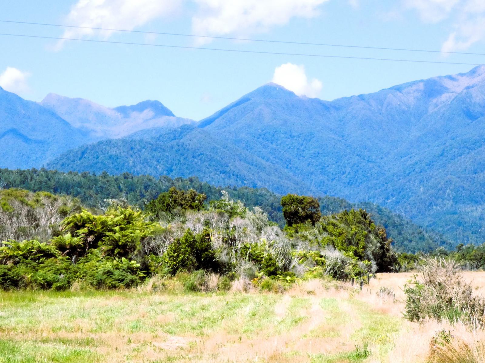 9 Croninville Terrace, Charleston