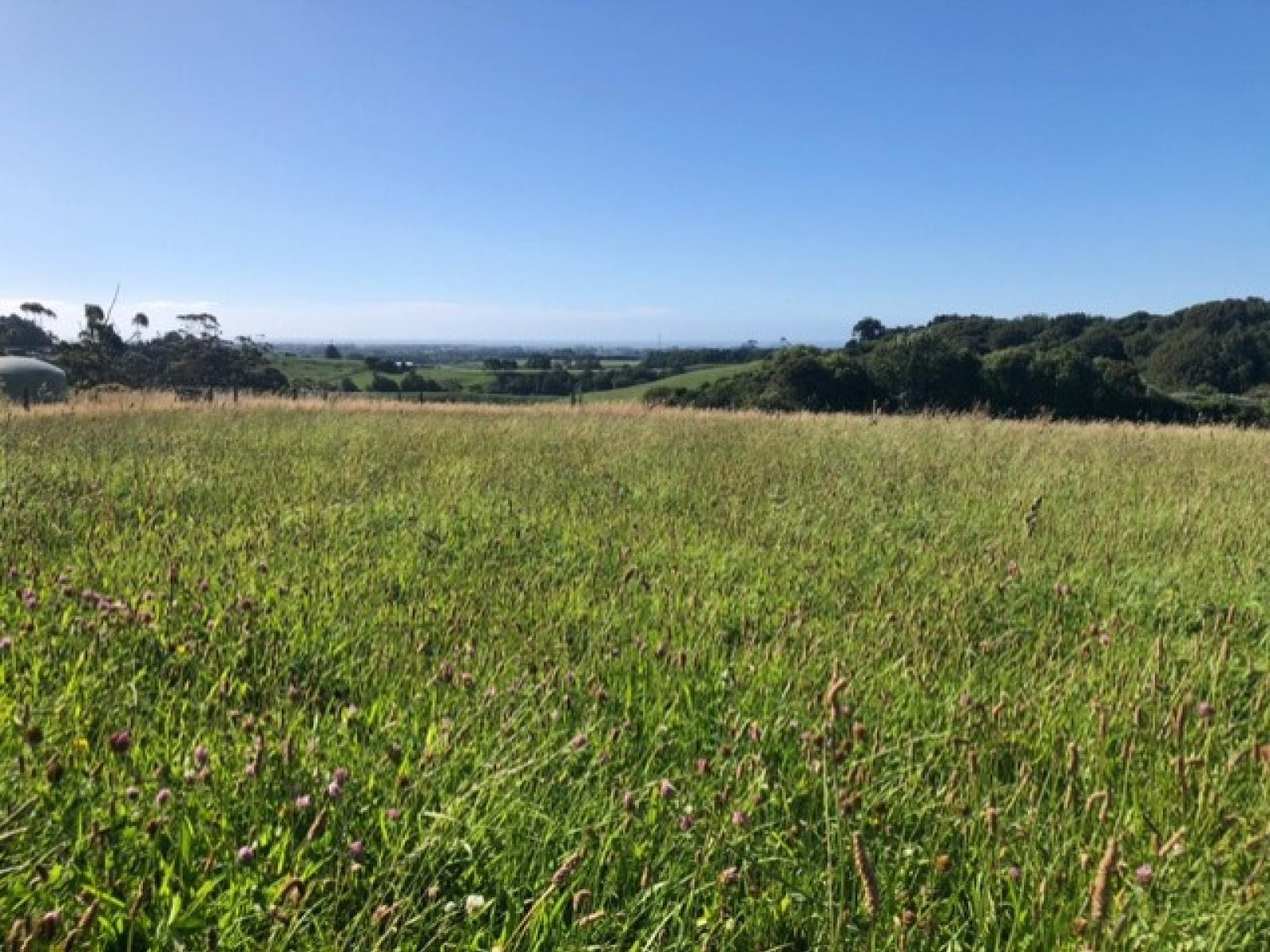 114 Ackworth Road, Lepperton