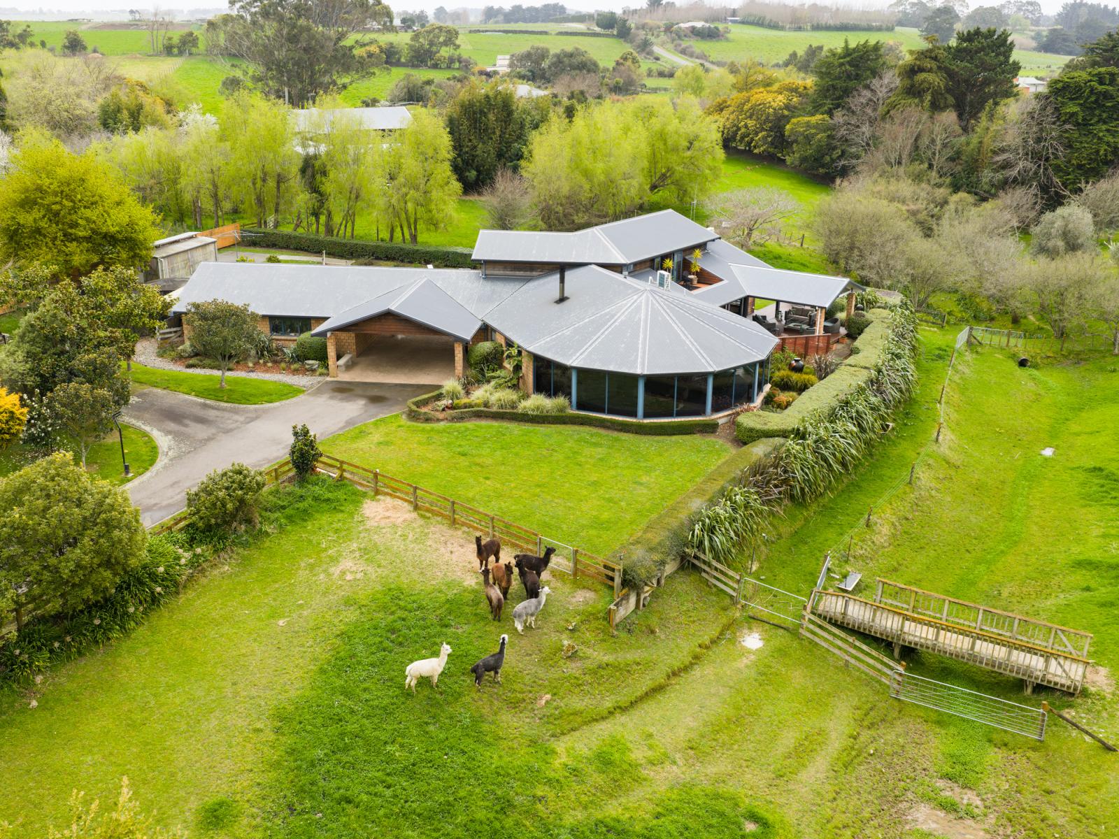7 Harrisons Line, Palmerston North