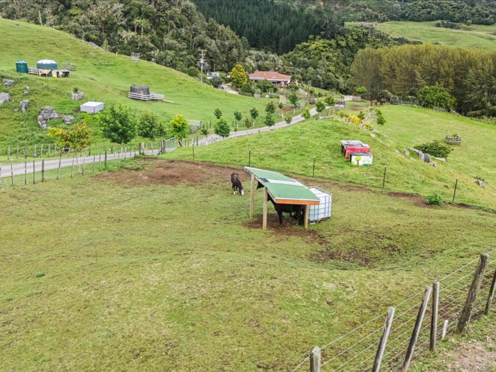 747 Boddie Road, Waitomo