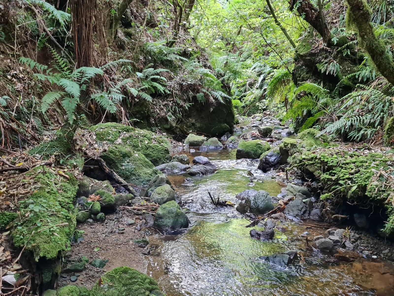 141 Kaitawa Road, Hautere