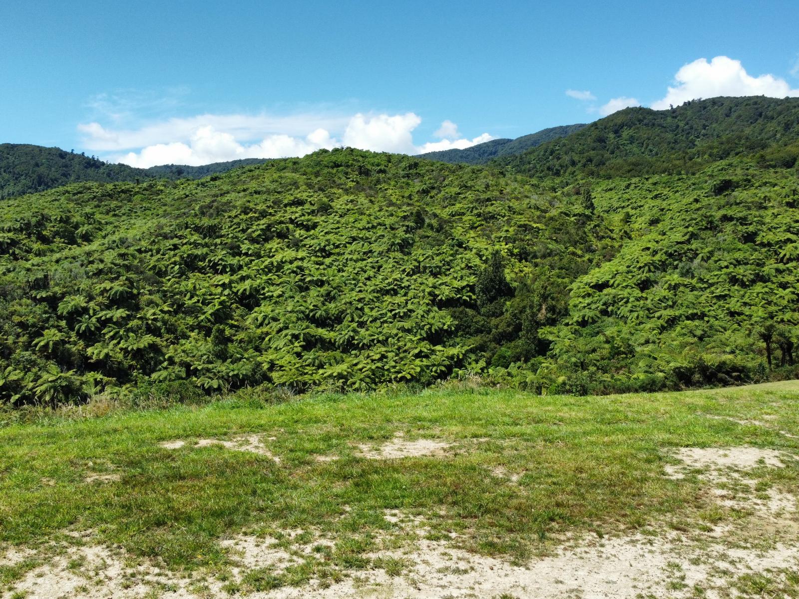 141 Kaitawa Road, Hautere