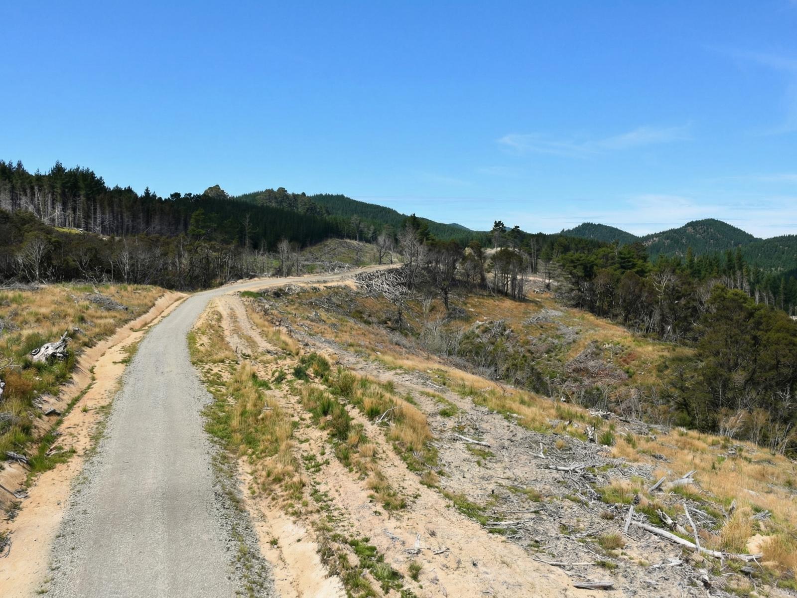 Lot 2 Kaiwhata Road, Te Wharau