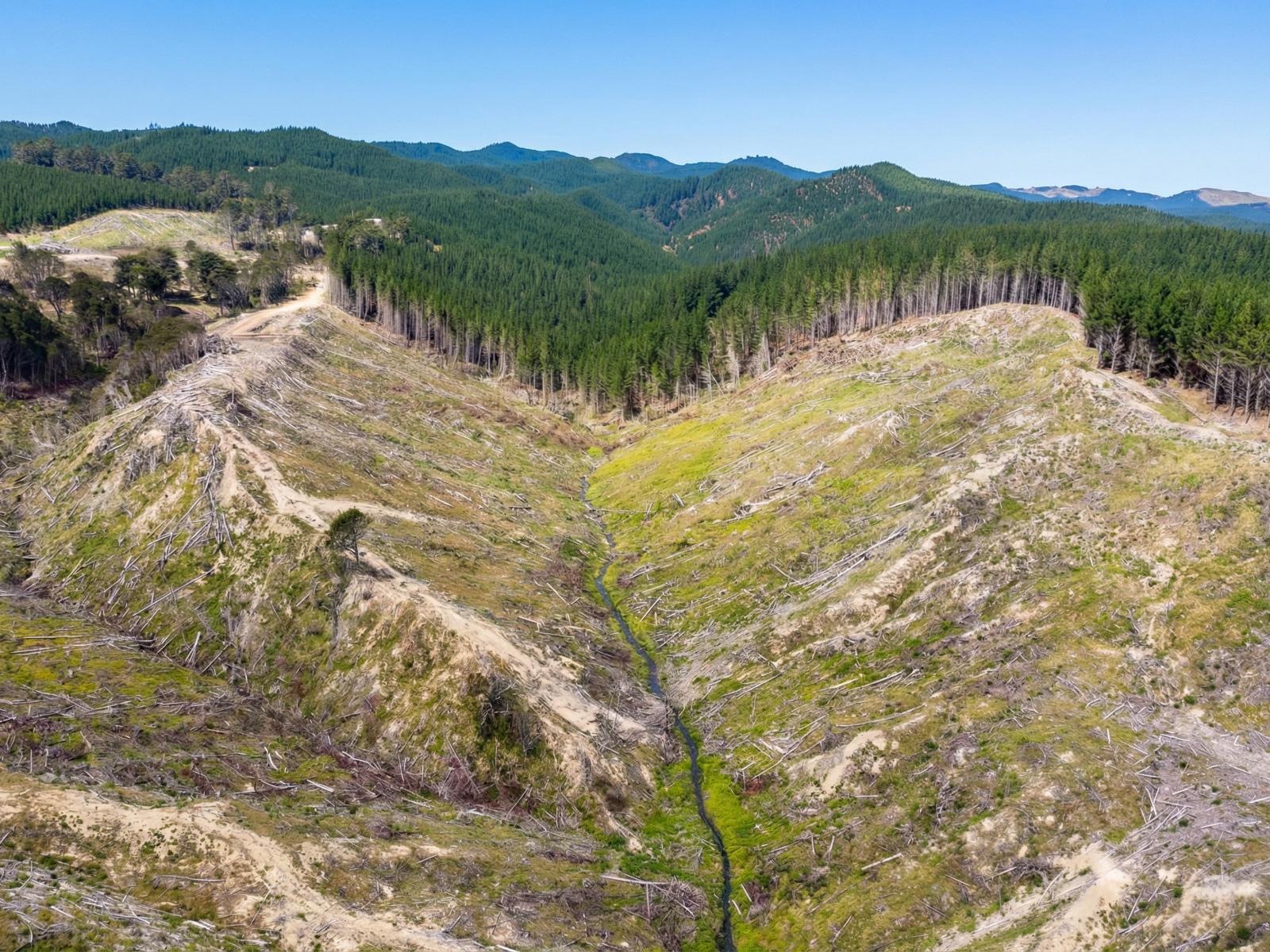 Lot 2 Kaiwhata Road, Te Wharau