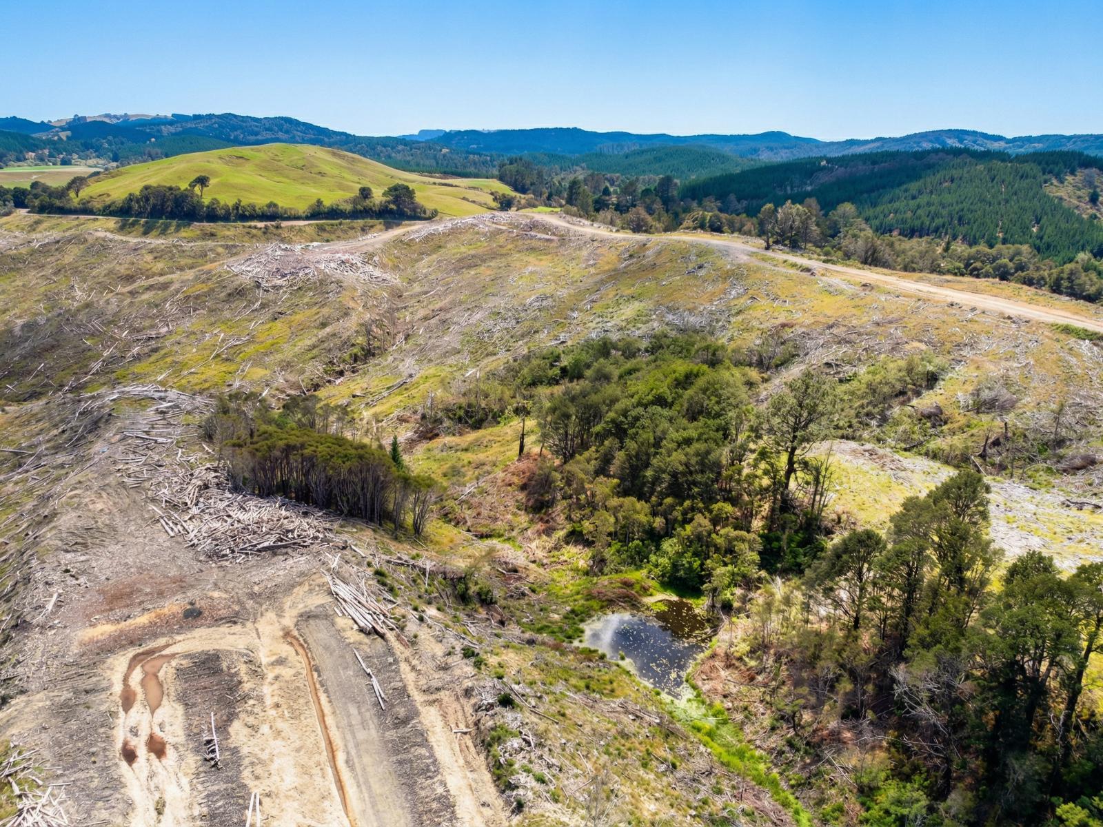 Lot 2 Kaiwhata Road, Te Wharau
