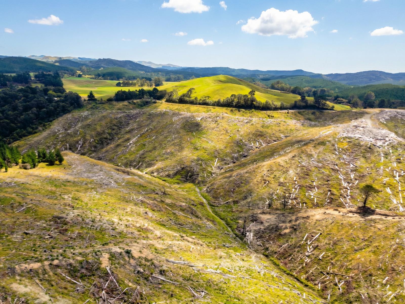Lot 2 Kaiwhata Road, Te Wharau