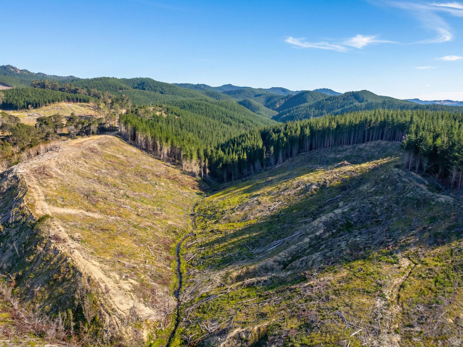 Lot 2 Kaiwhata Road, Te Wharau