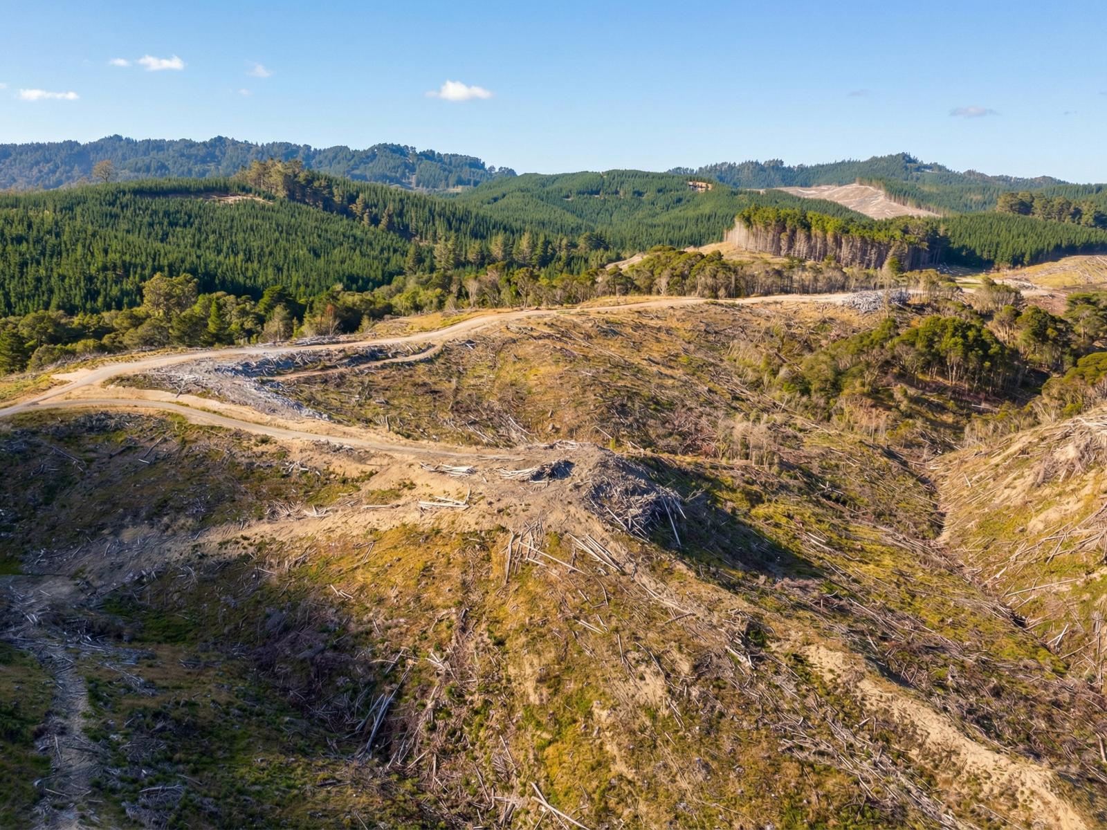 Lot 2 Kaiwhata Road, Te Wharau