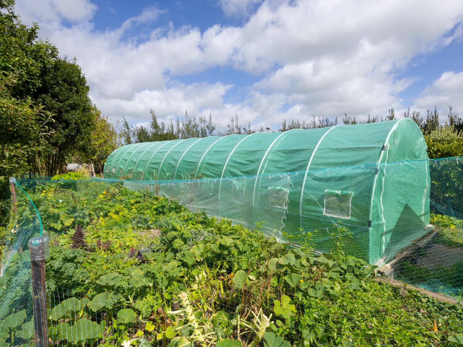 1226 Kairanga Bunnythorpe Road, Kairanga