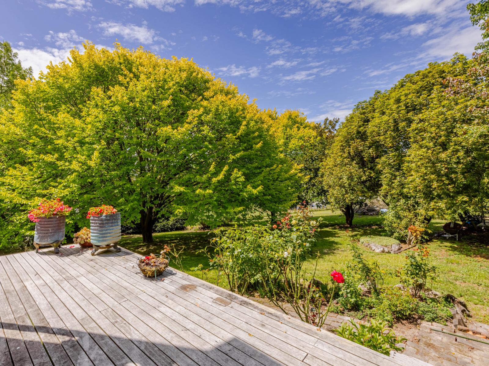 91 Ireland Road, Waipawa