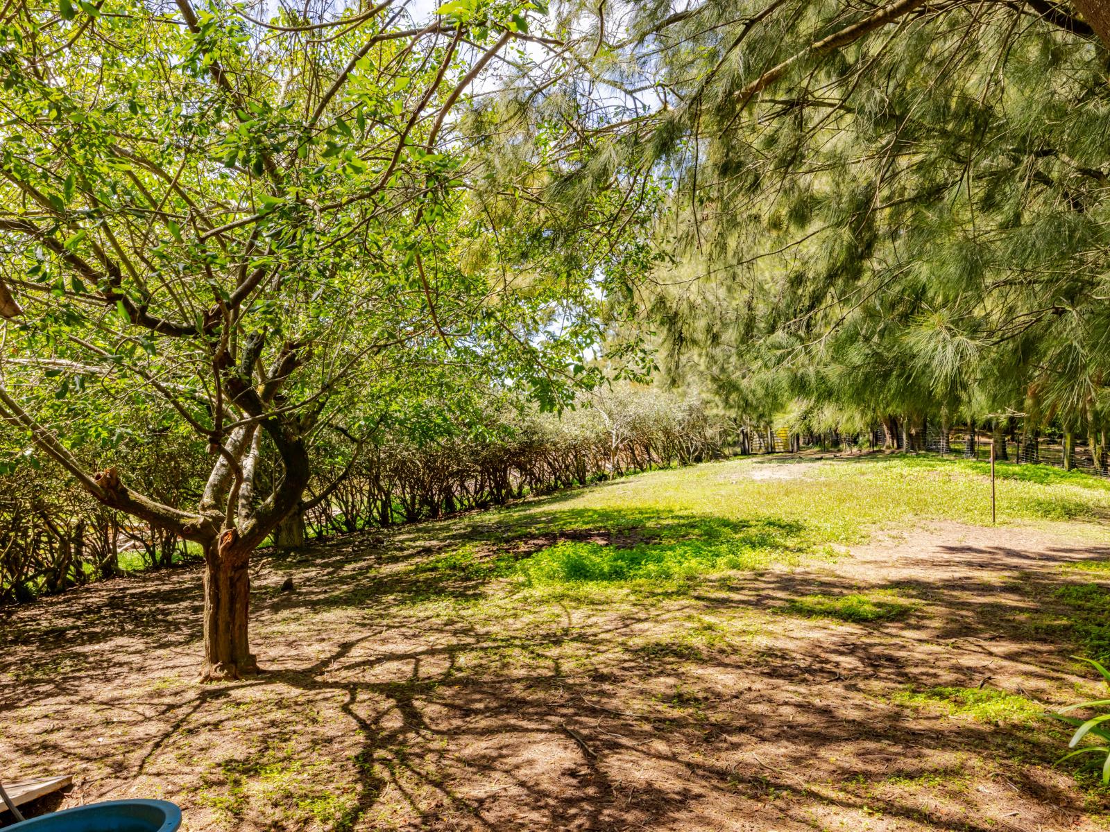 91 Ireland Road, Waipawa