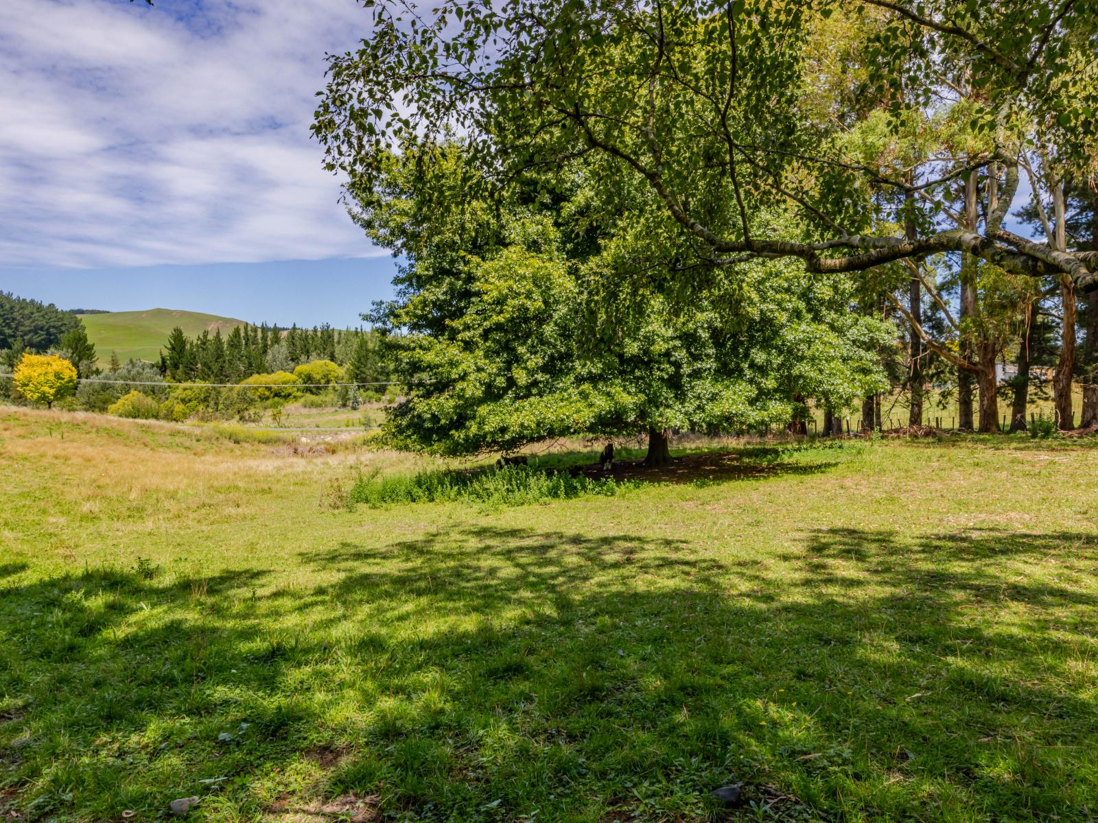 91 Ireland Road, Waipawa