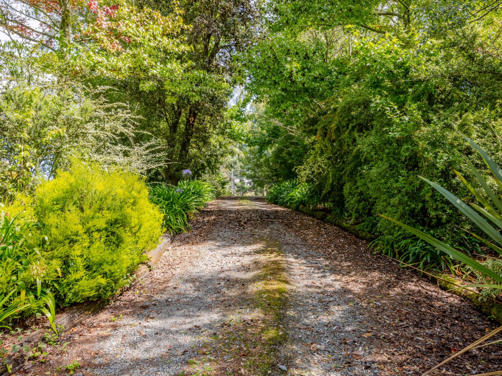 91 Ireland Road, Waipawa