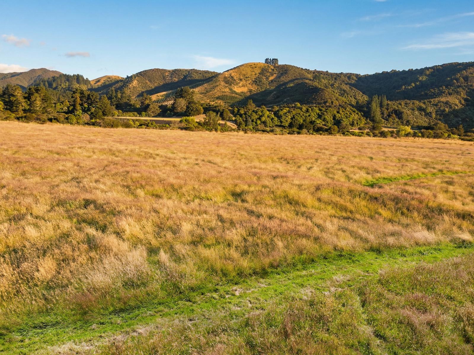 2036D State Highway 2, Masterton