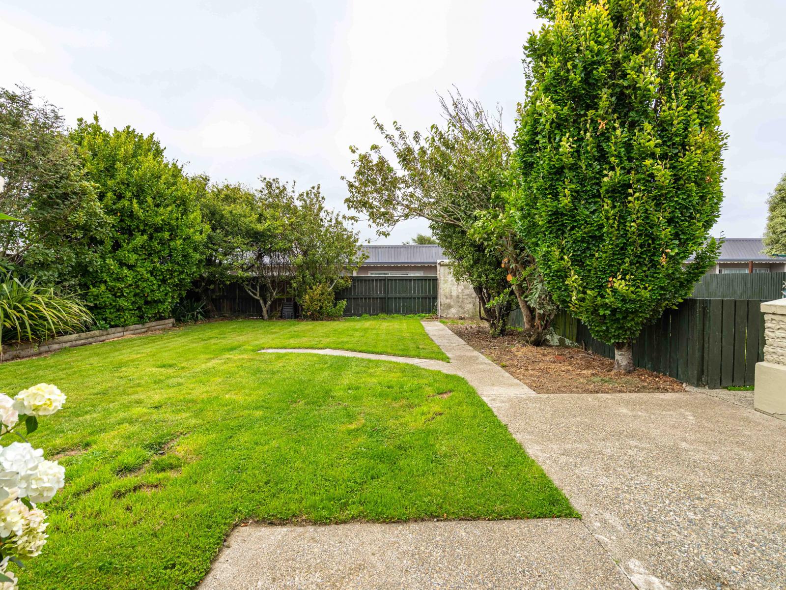 349 Tay Street, Turnbull Thomson Park