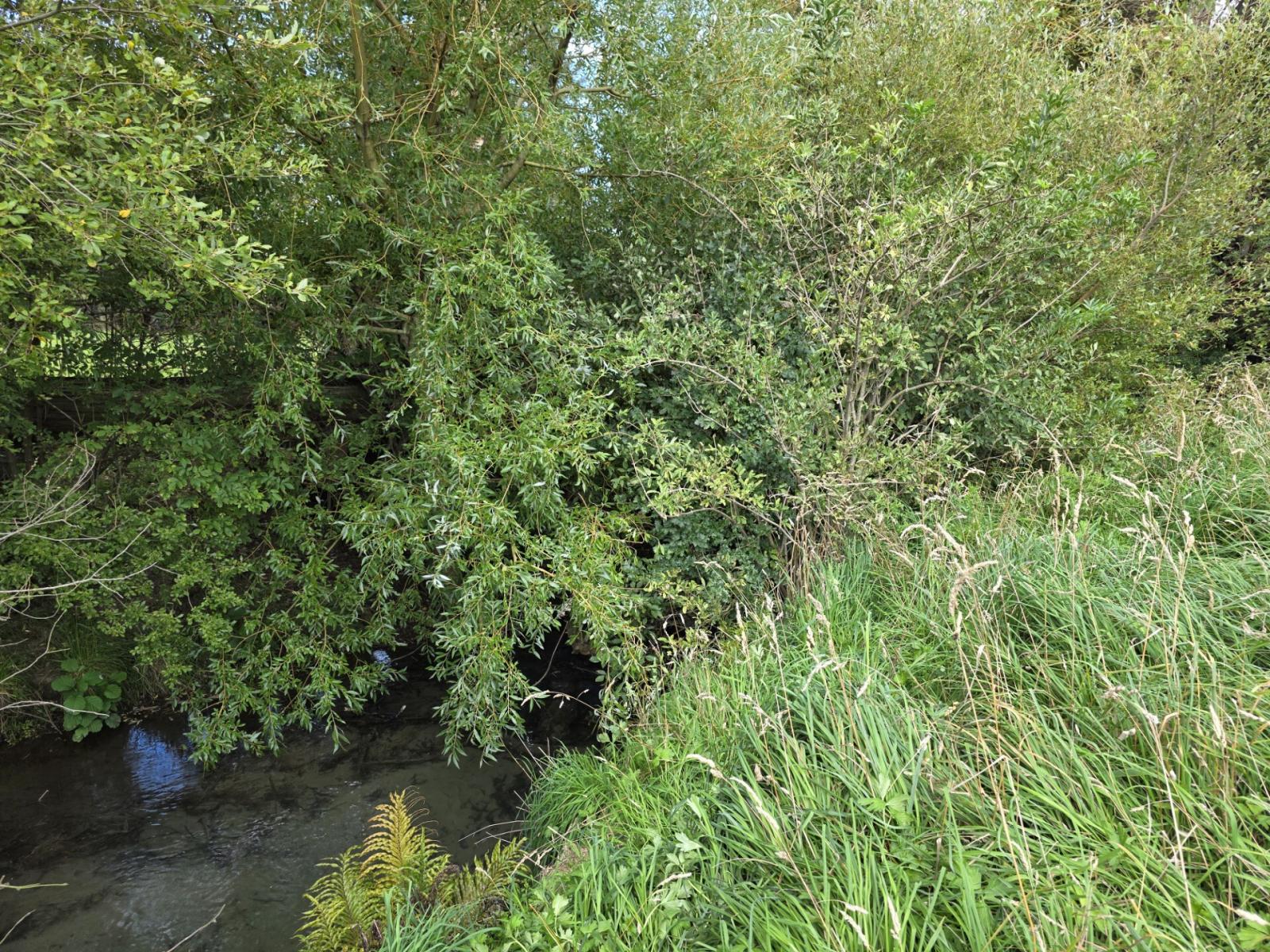 16 Northbrook Road, Rangiora