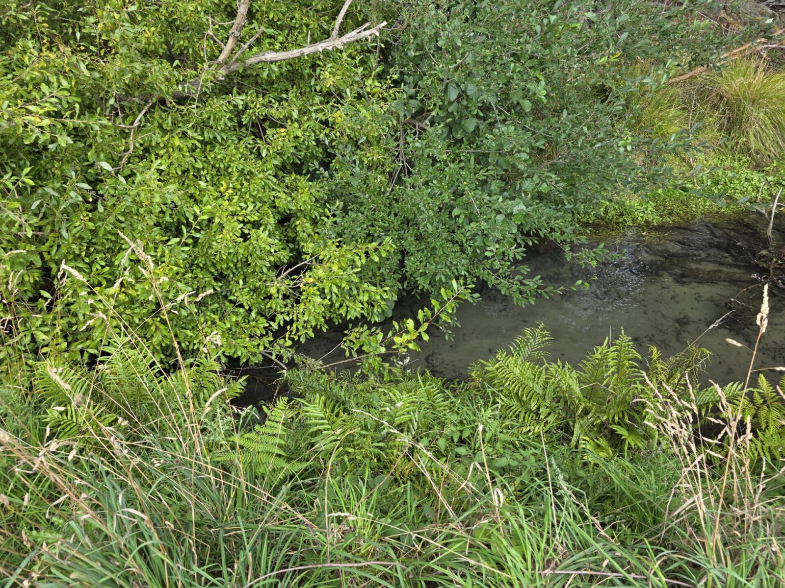 16 Northbrook Road, Rangiora